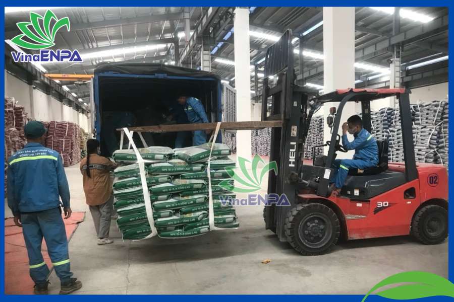 BAO SLING - PALLET DÂY LÀ GÌ ?