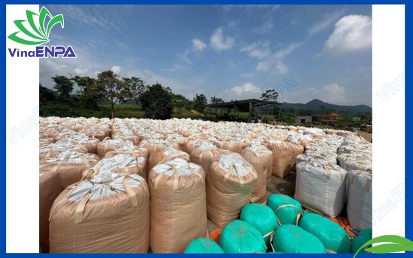 Bao Jumbo ủ cỏ làm thức ăn cho gia súc