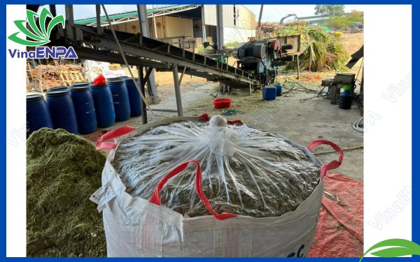 Túi PE bên trong bao jumbo ủ cỏ được buộc kín lại.